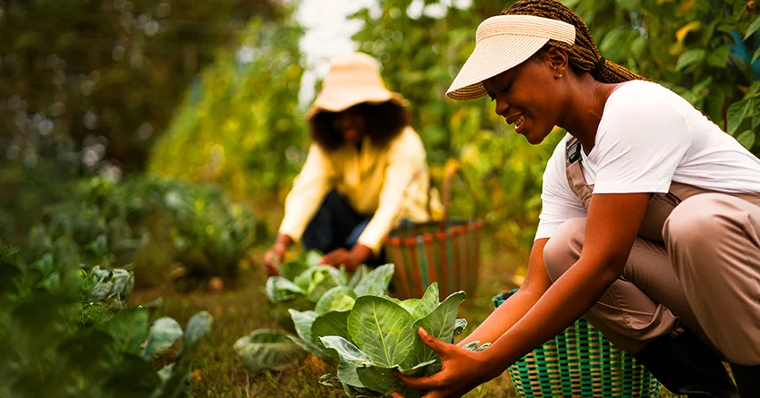 About It Enterprises